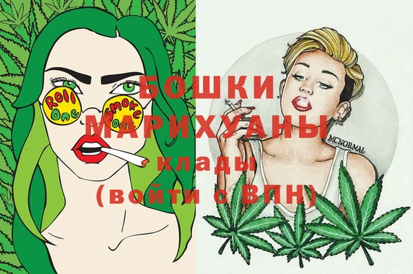 мдпв Медвежьегорск