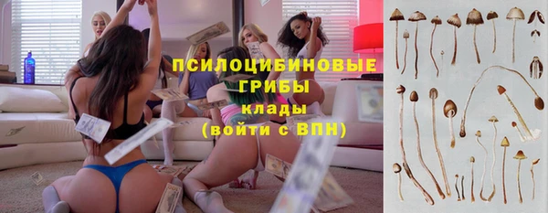 мдпв Медвежьегорск