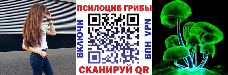 купить наркоту  Сысерть  Псилоцибиновые грибы Magic Shrooms 